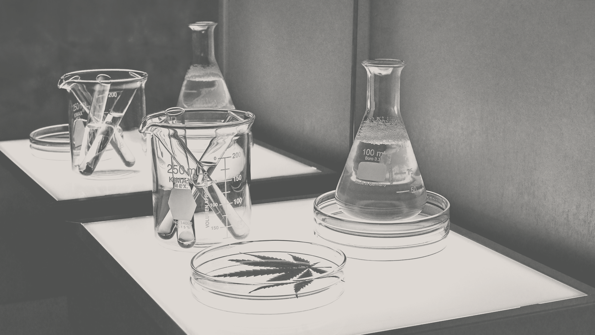 Glass beakers in a quality assurance lab